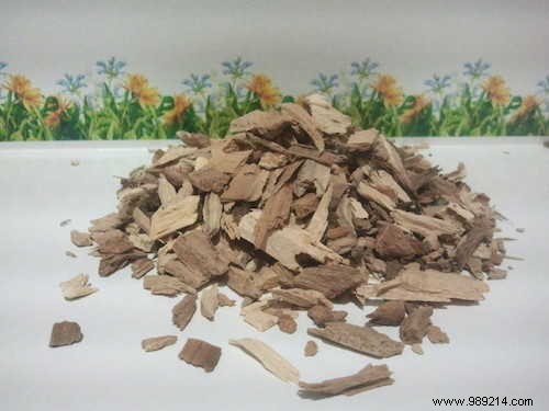 Banish Dandruff Naturally: The Power of Panama Wood Lotion