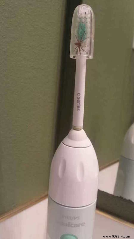 Are You Brushing Your Teeth Wrong? 9 Dentist-Recommended Tips for Better Oral Health