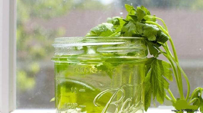 7 Proven Natural Remedies for Urinary Tract Infections (UTIs)