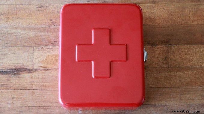 Essential Herbal First Aid Kit: 12 Proven Medicinal Plants for Travelers