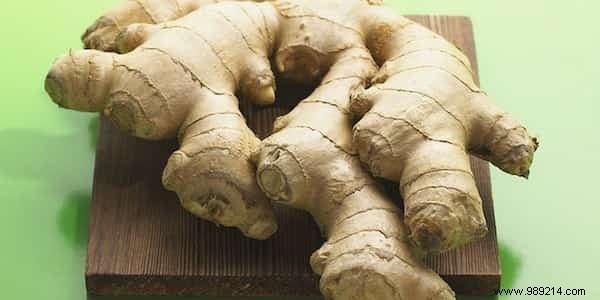 Essential Herbal First Aid Kit: 12 Proven Medicinal Plants for Travelers