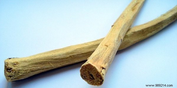 Essential Herbal First Aid Kit: 12 Proven Medicinal Plants for Travelers