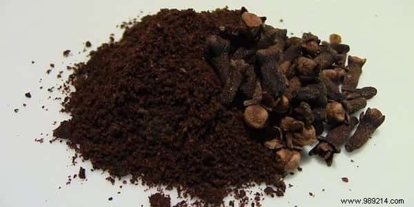 Essential Herbal First Aid Kit: 12 Proven Medicinal Plants for Travelers