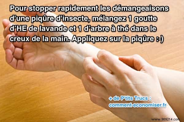 Fast Natural Relief for Itchy Insect Bites: Lavender & Tea Tree Oil Remedy