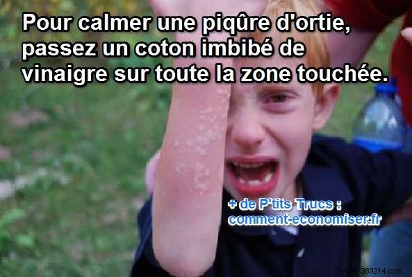 Quick Grandma s Remedy: Soothe Nettle Sting Itching with White Vinegar