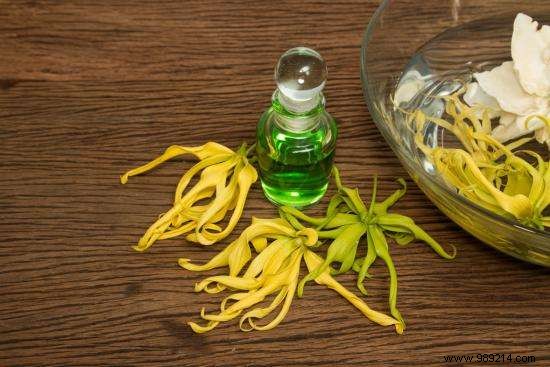 Ylang-Ylang Essential Oil: Key Benefits, Uses, and Proven Recipes