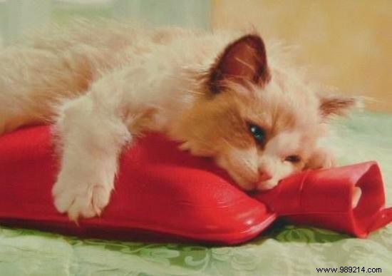 12 Proven Tips to Beat the Heat and Sleep Soundly on Sweltering Summer Nights