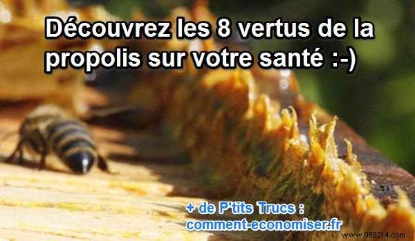 8 Proven Health Benefits of Propolis: Backed by Centuries of Use and Modern Insights