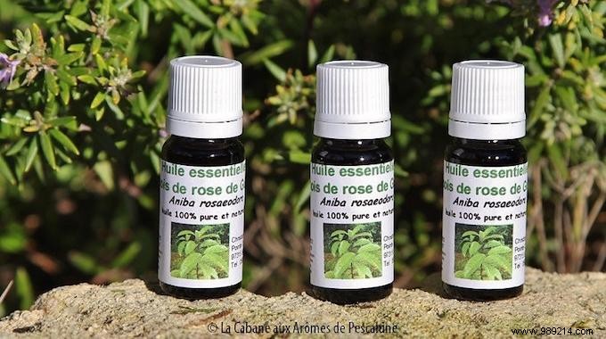 Rosewood Essential Oil: Proven Benefits, Uses, and Expert Recipes