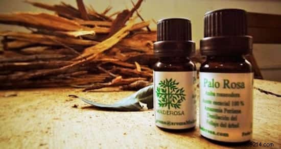 Rosewood Essential Oil: Proven Benefits, Uses, and Expert Recipes