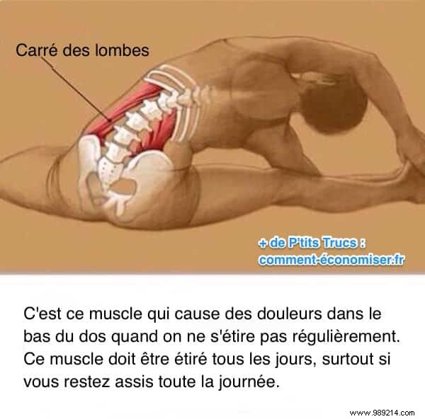 Relieve Lower Back Pain from Sitting All Day: A Proven Daily Stretch