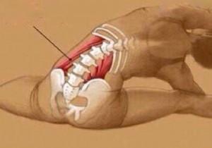 Relieve Lower Back Pain from Sitting All Day: A Proven Daily Stretch