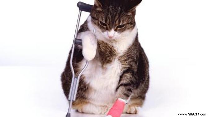 How to Bandage a Sprained Ankle: The Professional Strapping Technique