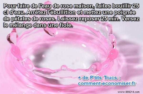 Easy Homemade Rose Water Recipe: Fresh, Natural, and Simple