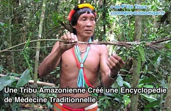 Matsés Tribe Preserves Ancient Wisdom with First 500-Page Traditional Medicine Encyclopedia
