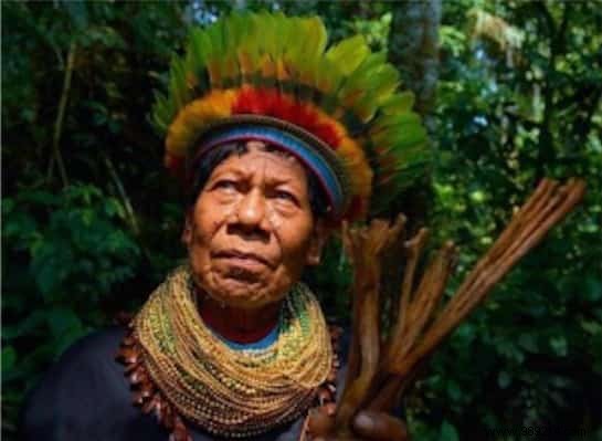 Matsés Tribe Preserves Ancient Wisdom with First 500-Page Traditional Medicine Encyclopedia