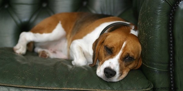 15 Science-Backed Daily Habits to Sharpen Your Mind and Boost Intelligence