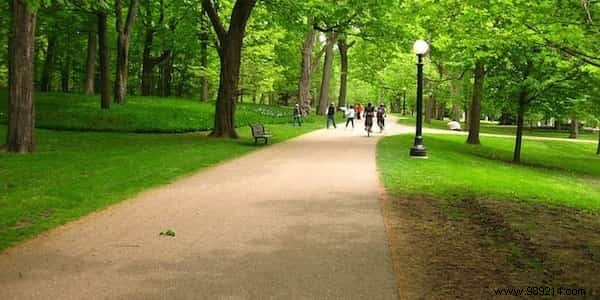 15 Science-Backed Daily Habits to Sharpen Your Mind and Boost Intelligence