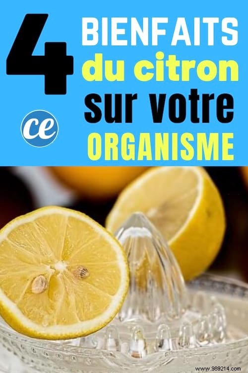 4 Surprising Health Benefits of Lemons Backed by Nutrition Science