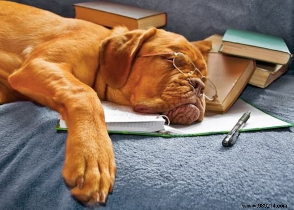 10 Clear Signs You re Not Drinking Enough Water – And Proven Tips to Fix It