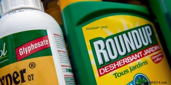 El Salvador s Ban on Monsanto s Roundup Yields Record Harvests