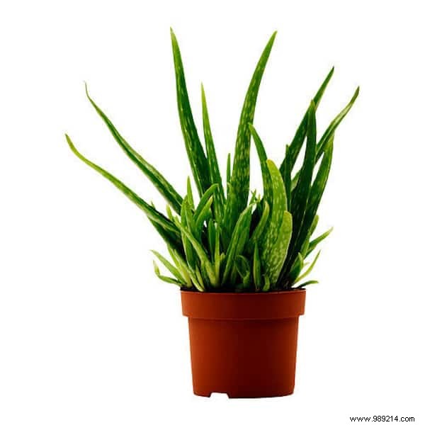 9 Proven Tips to Stay Cool Without Air Conditioning