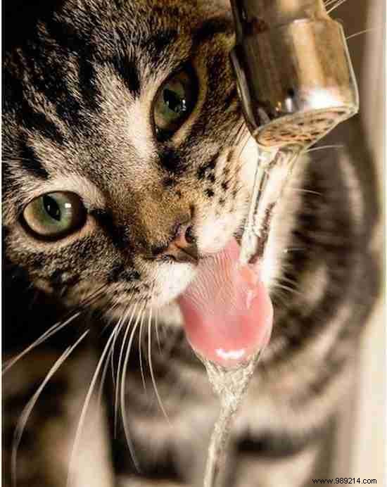 14 Telltale Signs of Dehydration and Proven Ways to Fix Them