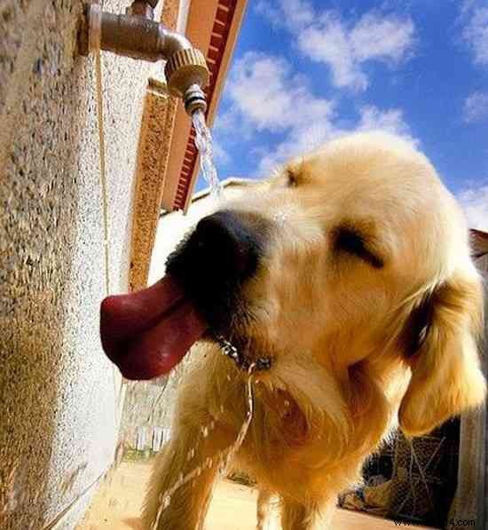 14 Telltale Signs of Dehydration and Proven Ways to Fix Them