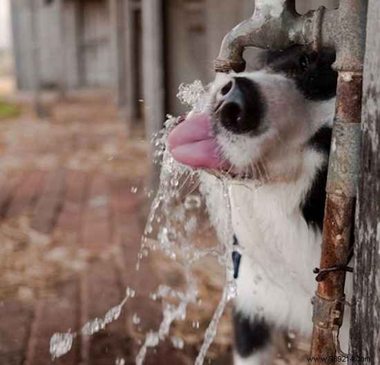 14 Telltale Signs of Dehydration and Proven Ways to Fix Them