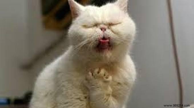 Proven Grandma s Remedy: Quick Sore Throat Relief with Mustard Gargle