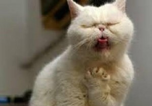 Proven Grandma s Remedy: Quick Sore Throat Relief with Mustard Gargle