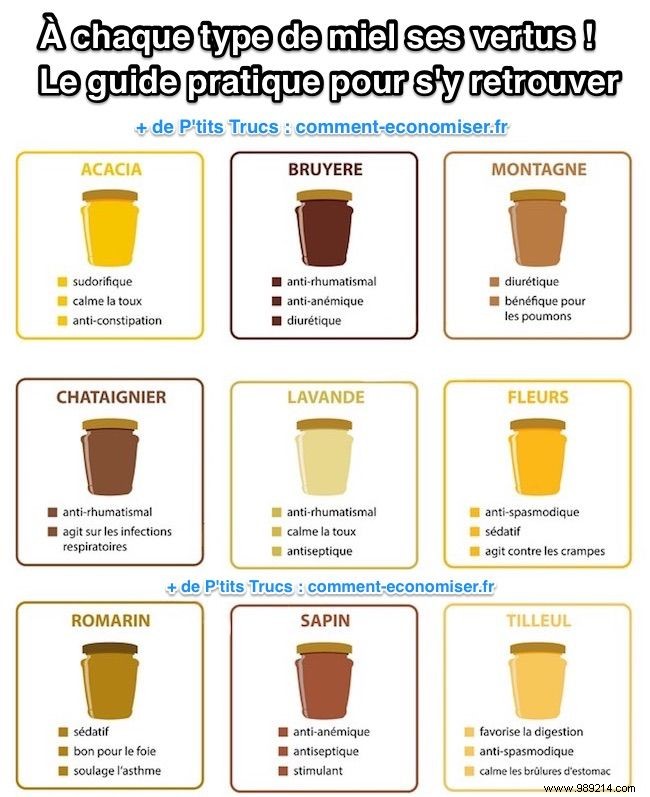 Discover the Unique Benefits of Every Honey Variety: Your Practical Guide