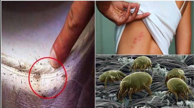 Dust Mites in Your Bed: Why Leaving It Unmade Kills Them Naturally and Protects Your Health