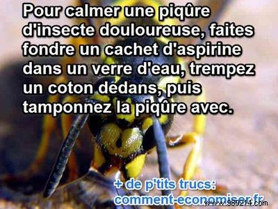 Grandma s Time-Tested Aspirin Remedy for Soothing Insect Bites