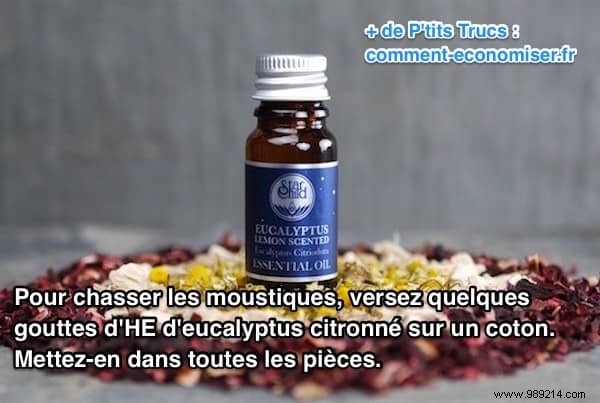 Lemon Eucalyptus Essential Oil: A Proven Natural Mosquito Repellent