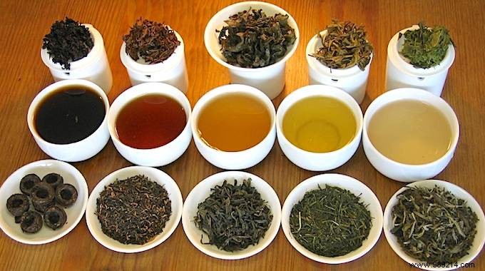 Unlock the Unique Benefits of Every Tea Type: Your Expert Guide to Choosing Wisely
