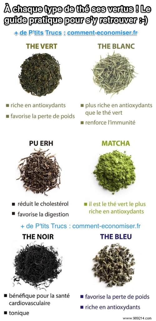 Unlock the Unique Benefits of Every Tea Type: Your Expert Guide to Choosing Wisely