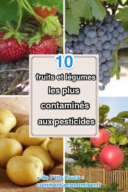 Top 10 Fruits and Vegetables Highest in Pesticide Residues: EFSA Insights