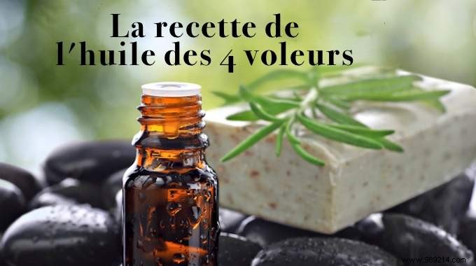 Four Thieves Oil: Time-Tested Recipe and Versatile Uses for Immunity and Wellness