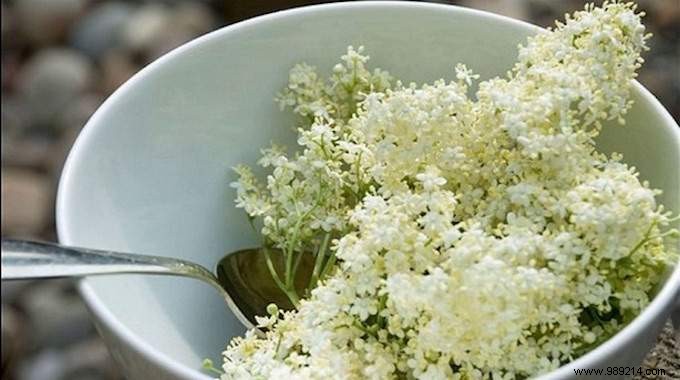 Grandma s Time-Tested Flu Remedy: Soothing Cloves and Elderflower Tea