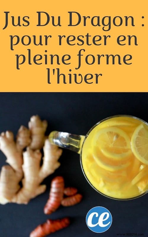 Dragon Juice Recipe: Traditional Lemon-Ginger-Turmeric Elixir for Winter Immunity