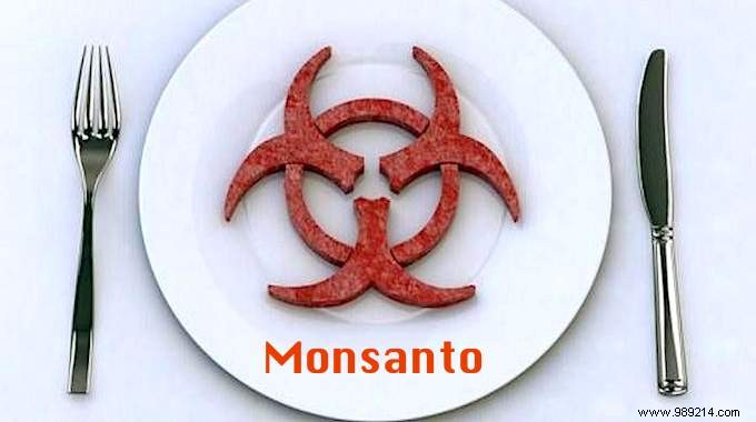 Comprehensive List of Products Linked to Monsanto GMOs: Brands to Consider Avoiding