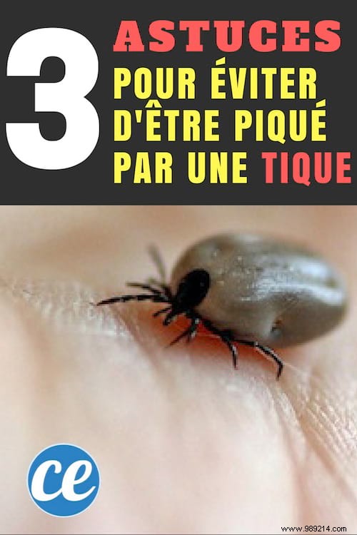 3 Expert Tips to Prevent Tick Bites: ANSES-Recommended Strategies