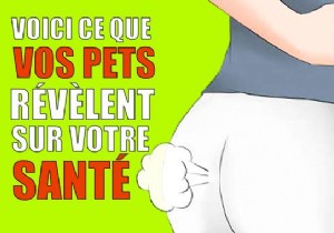 What Your Flatulence Reveals About Your Health: Expert Insights