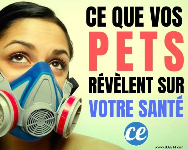 What Your Flatulence Reveals About Your Health: Expert Insights