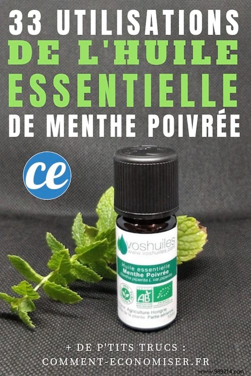 33 Proven Uses for Peppermint Essential Oil: Boost Health, Home, and Wellness