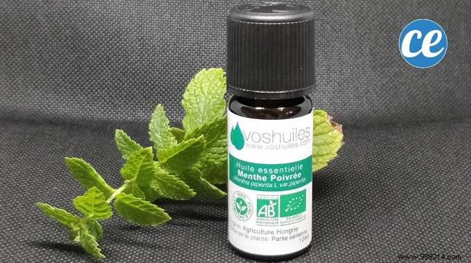 33 Proven Uses for Peppermint Essential Oil: Boost Health, Home, and Wellness