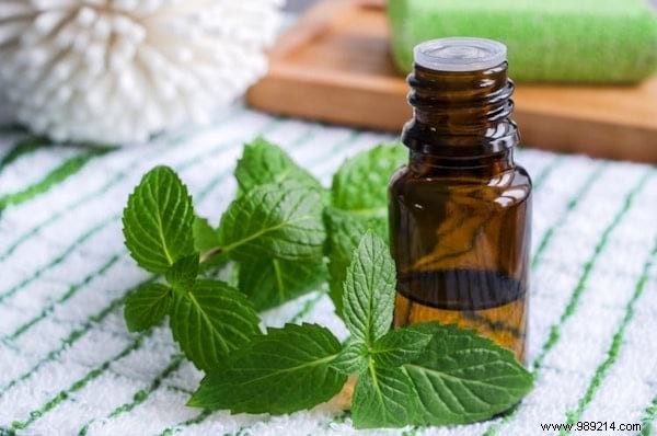 33 Proven Uses for Peppermint Essential Oil: Boost Health, Home, and Wellness