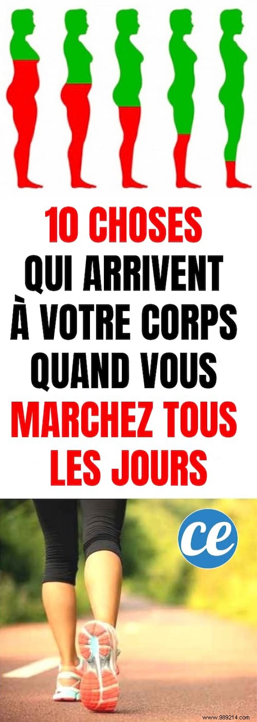10 Science-Backed Benefits of Walking Every Day for Your Body and Mind