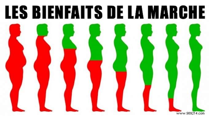 10 Science-Backed Benefits of Walking Every Day for Your Body and Mind